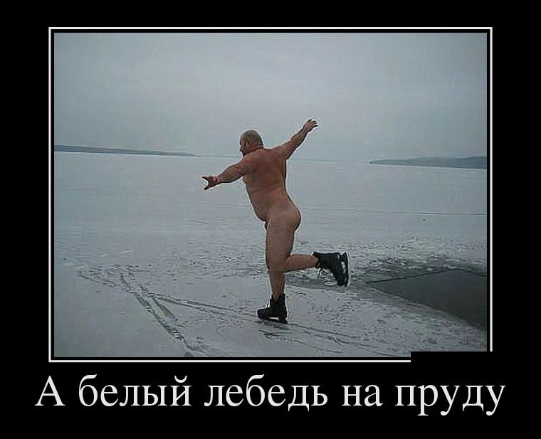 Демотиваторы пятницы (28 фото)