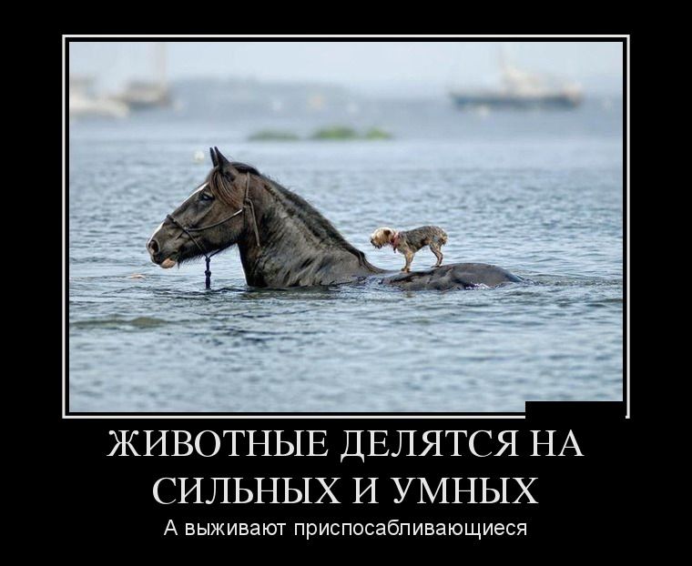 Демотиваторы пятницы (28 фото)