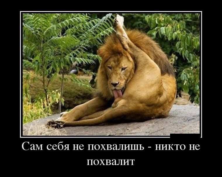 Демотиваторы пятницы (28 фото)