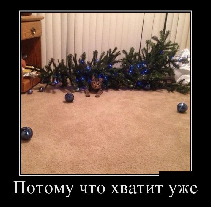 Демотиваторы вторника (26 фото)
