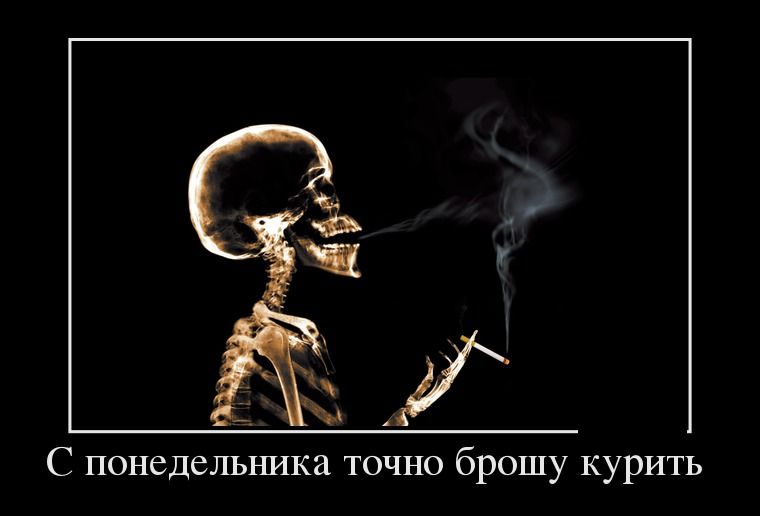 Демотиваторы вторника (26 фото)