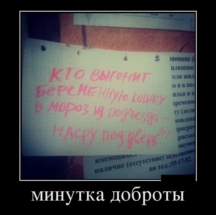 Демотиваторы среды (27 фото)