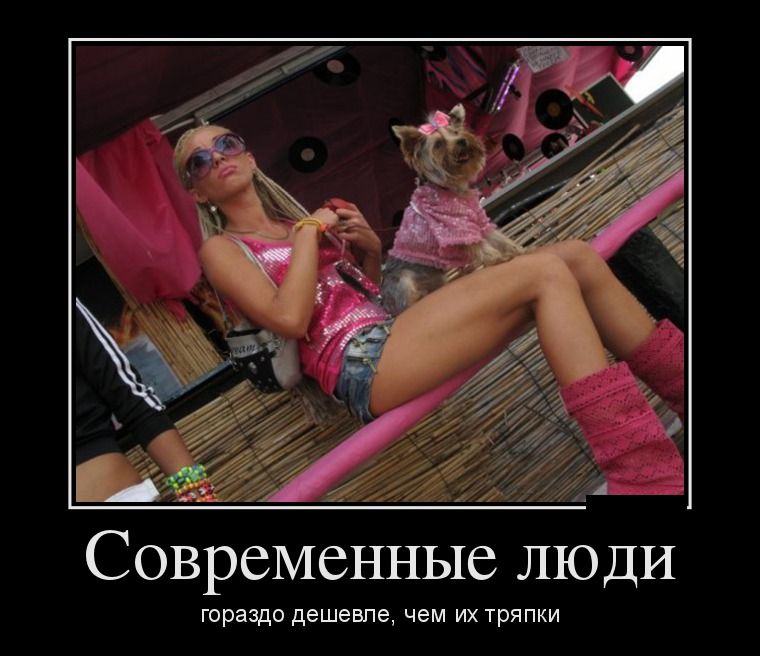 Демотиваторы среды (27 фото)
