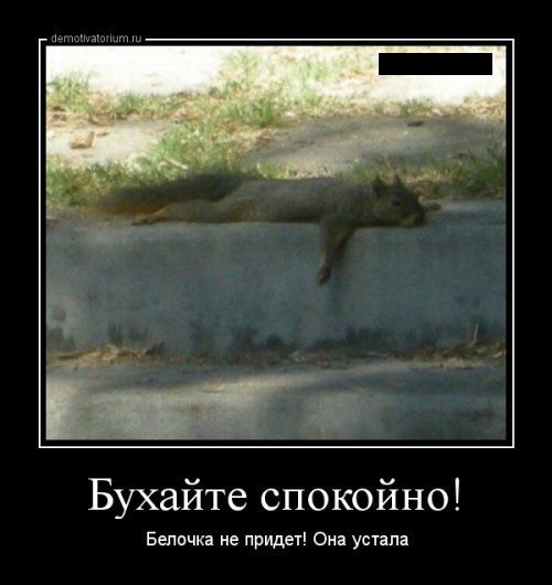 Демотиваторы понедельника (27 фото)