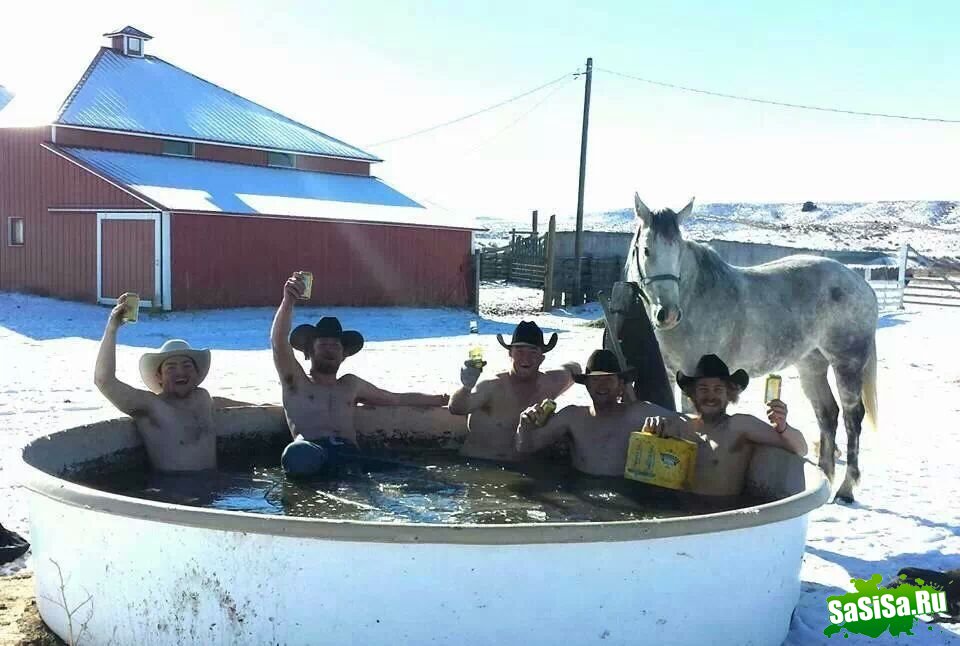 Фотоподборка (дальше в развёрнутом виде)