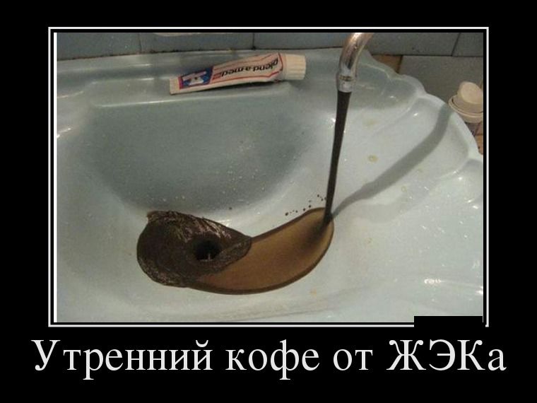 ������������ ������������ (27 ����)