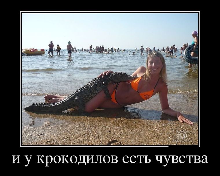 ������������ ������������ (27 ����)