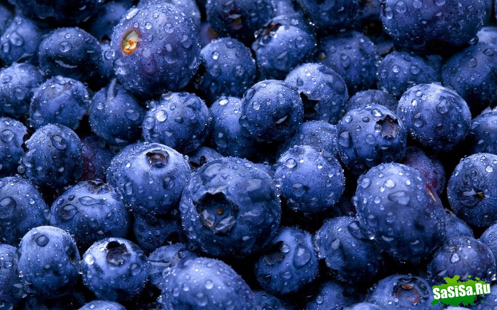 10 продуктов, которые всегда должны быть на кухне (10 фото)