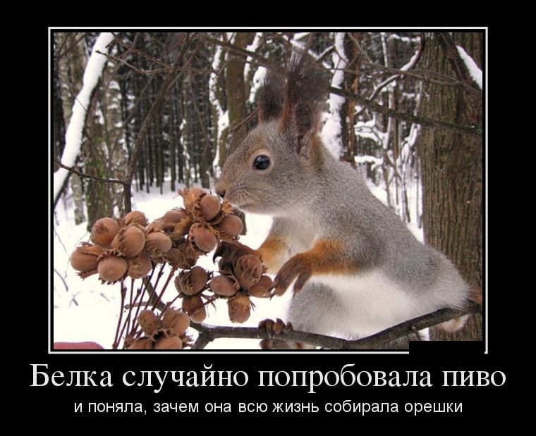 Демотиваторы пятницы (26 фото)