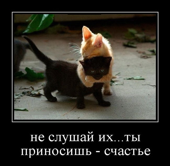 Демотиваторы пятницы (26 фото)