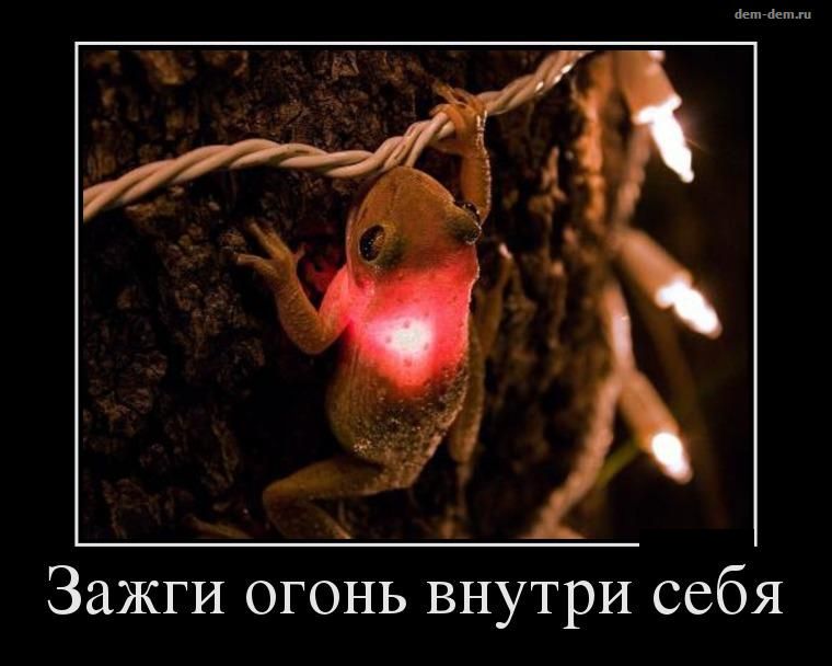 Демотиваторы пятницы (26 фото)