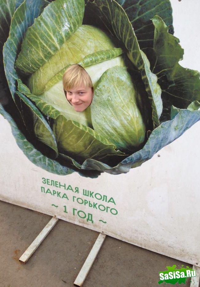 Фотоподборка (дальше в развёрнутом виде)