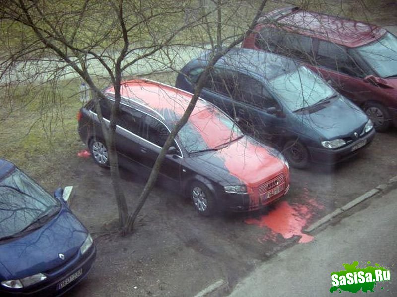 Фотоподборка (дальше в развёрнутом виде)
