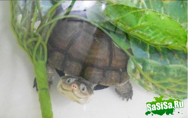 С добрым утром!:) (12 фото)