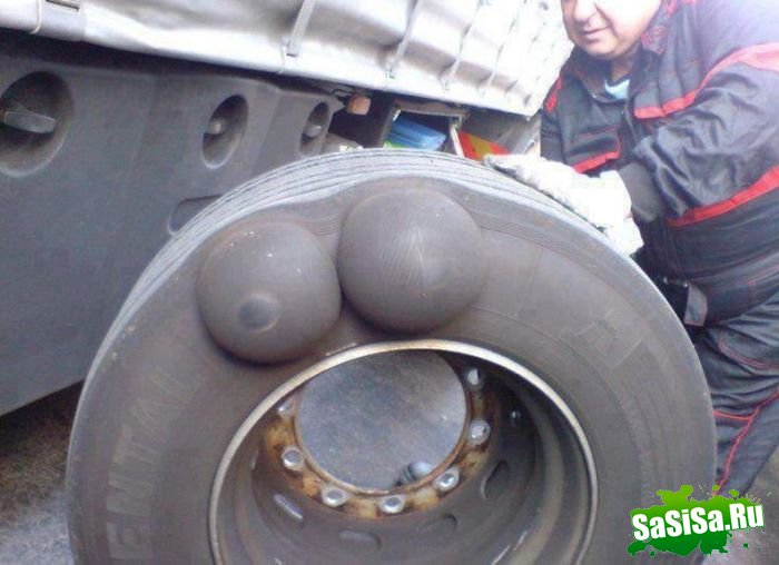 ������������ (������ � ���������� ����)