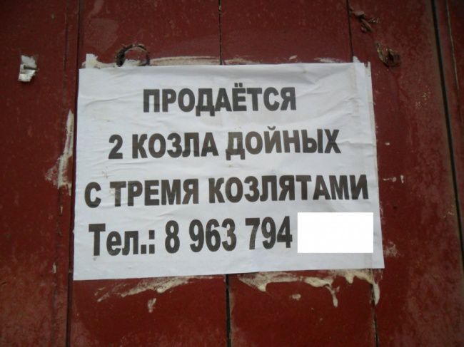 ������������ ������� � ���������� (20 ����)