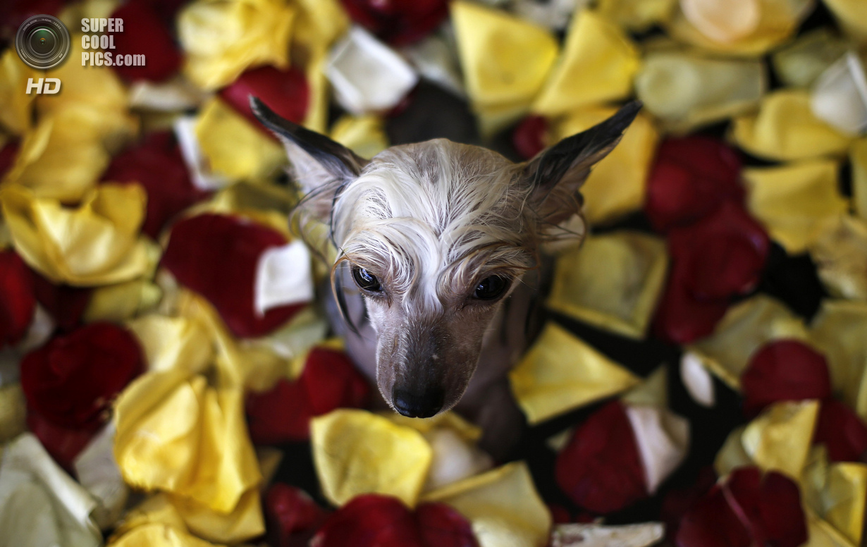 ���-��������� ��� ����� (16 ����)