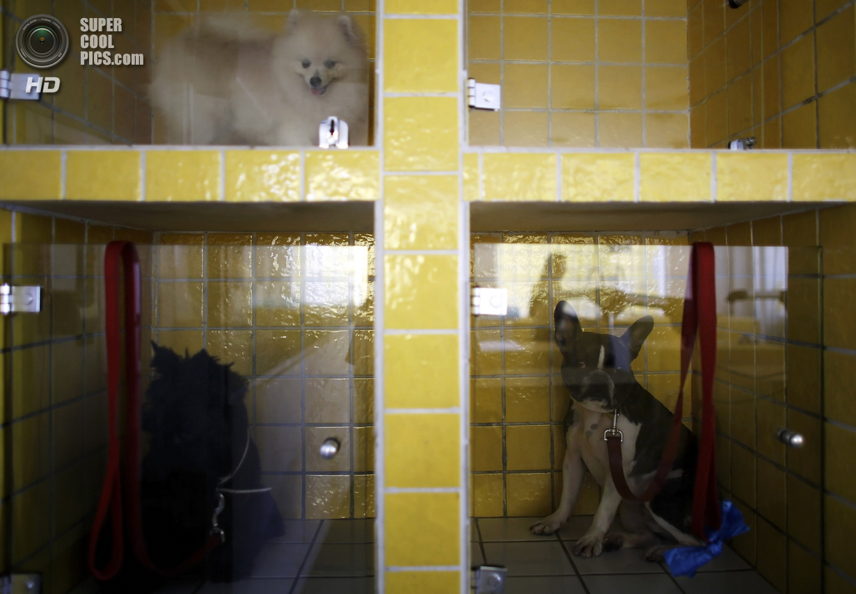 ���-��������� ��� ����� (16 ����)