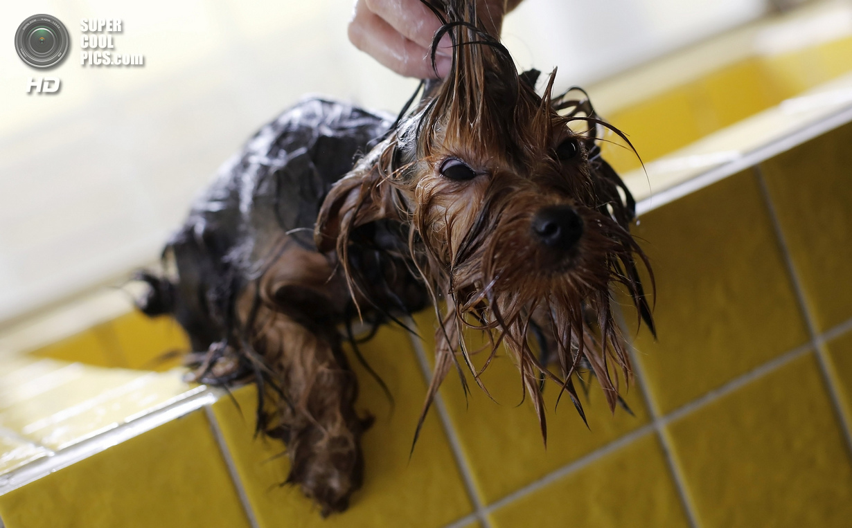 ���-��������� ��� ����� (16 ����)