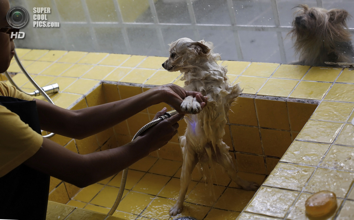 ���-��������� ��� ����� (16 ����)