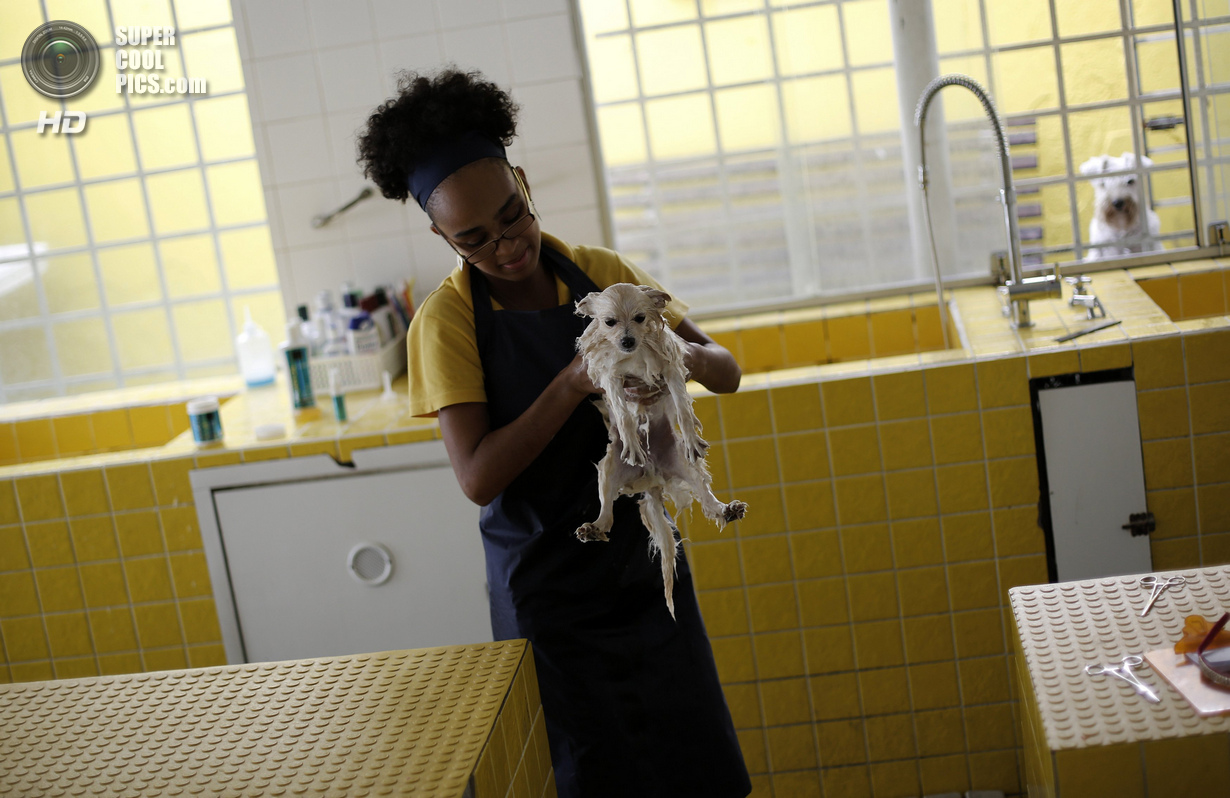 ���-��������� ��� ����� (16 ����)