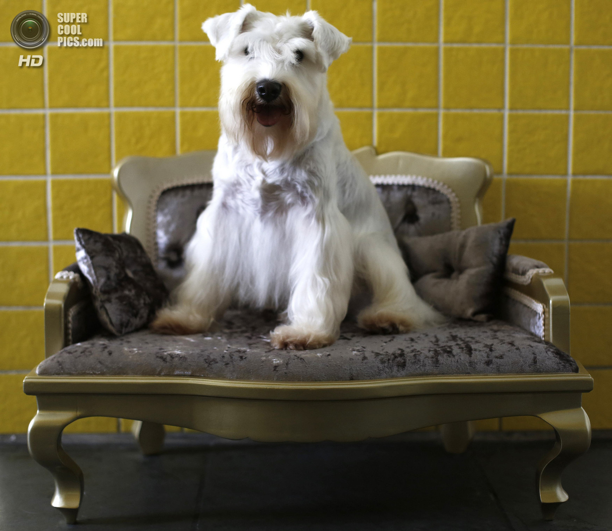 ���-��������� ��� ����� (16 ����)