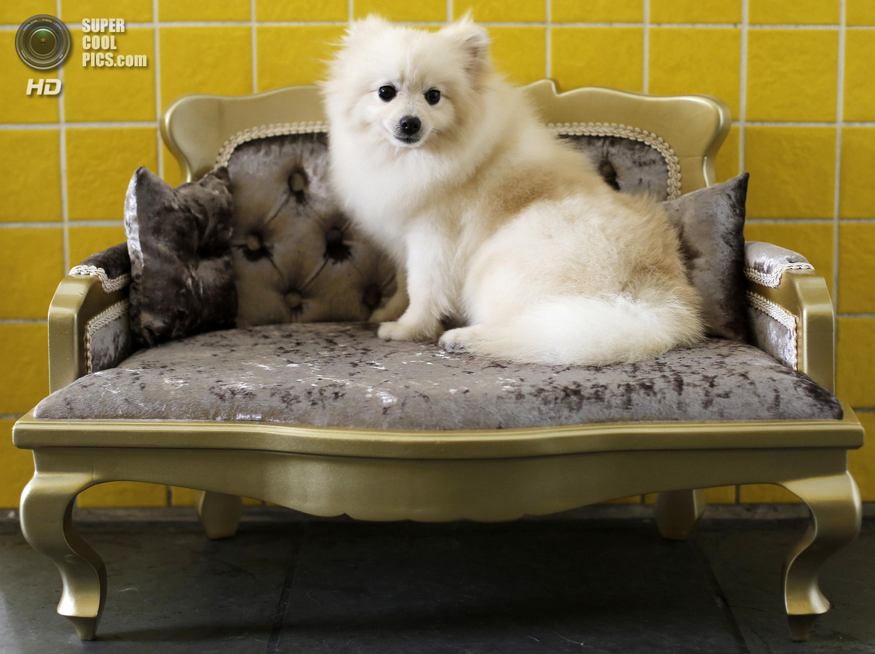 ���-��������� ��� ����� (16 ����)