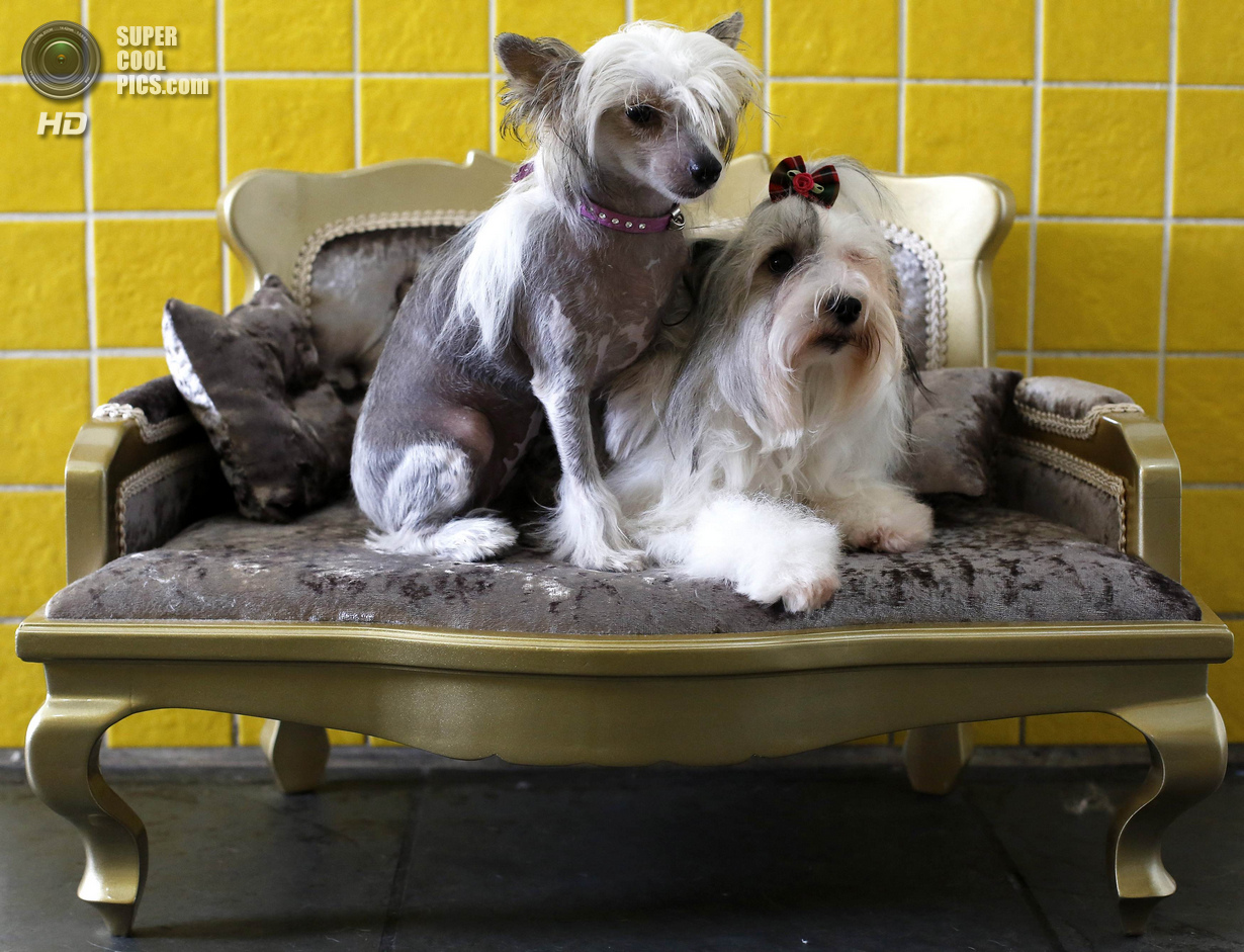 ���-��������� ��� ����� (16 ����)