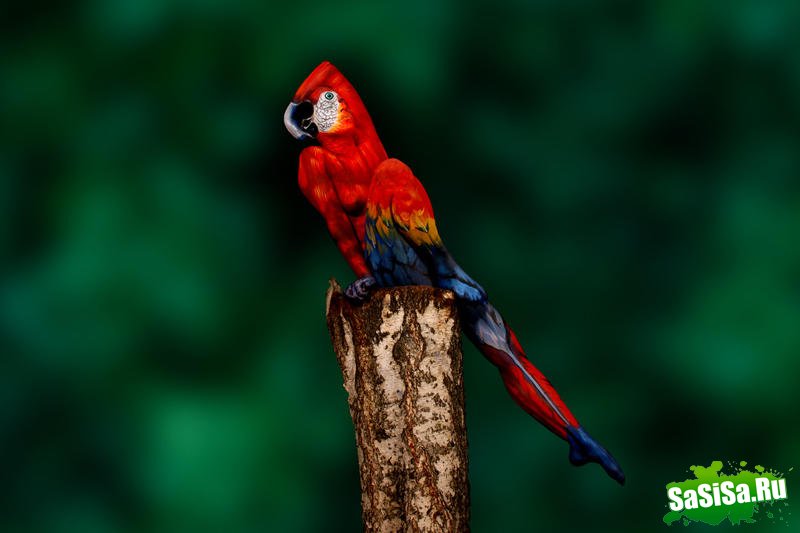 ��� �� �������. ���� ������ �� �������... (4 ����)