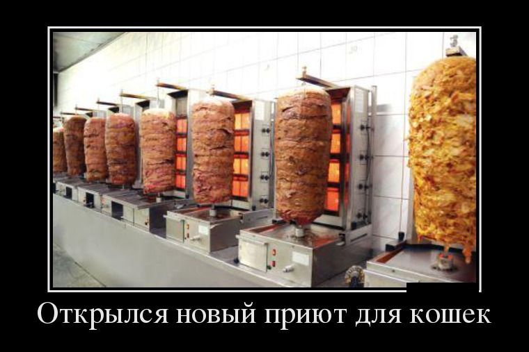 ������������ ������� (26 ����)