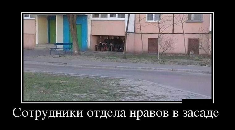 ������������ ������� (26 ����)