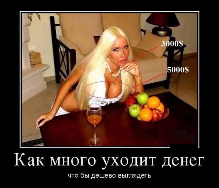 ������������ ������� (26 ����)