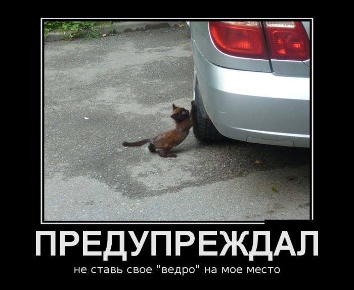 ������������ ������� (26 ����)