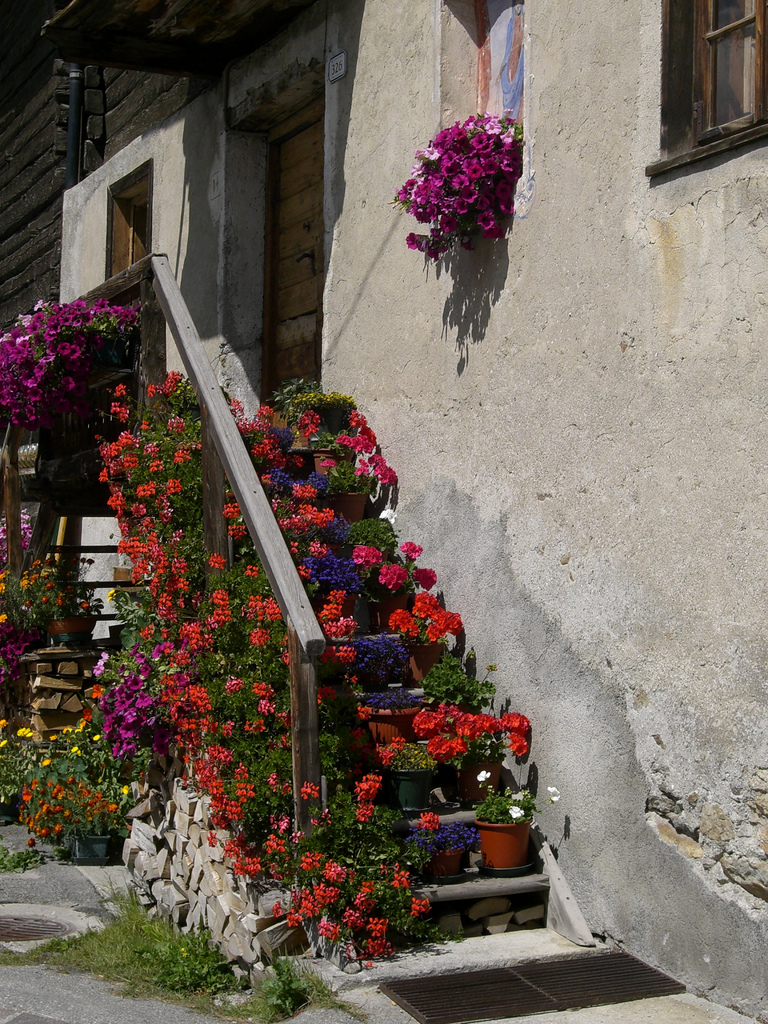     (Livigno),  (29 )