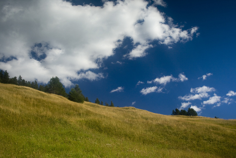     (Livigno),  (29 )