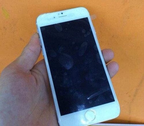    6 iPhone (6 )