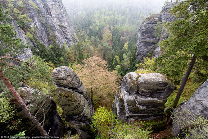 Саксонская Швейцария (31 фото)