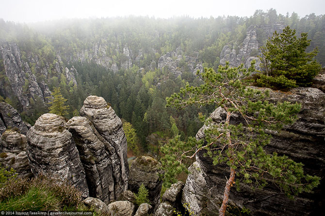Саксонская Швейцария (31 фото)
