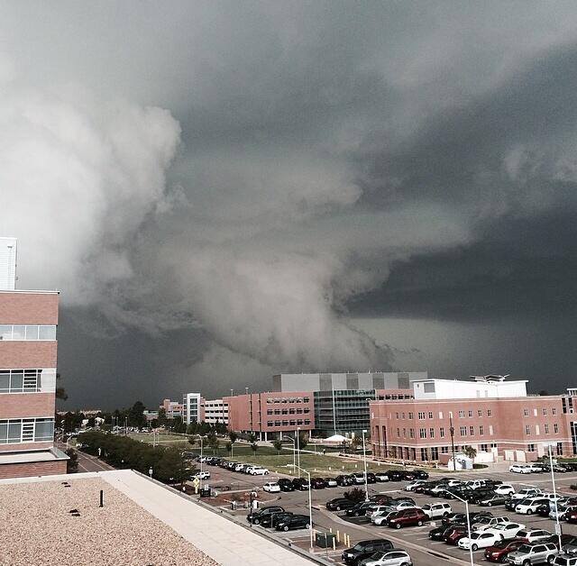 ����� � ��������: ������ �������� ������ (11 ���� � �����)