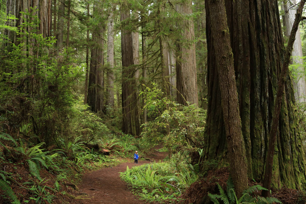 12     National Geographic Traveler (12 )