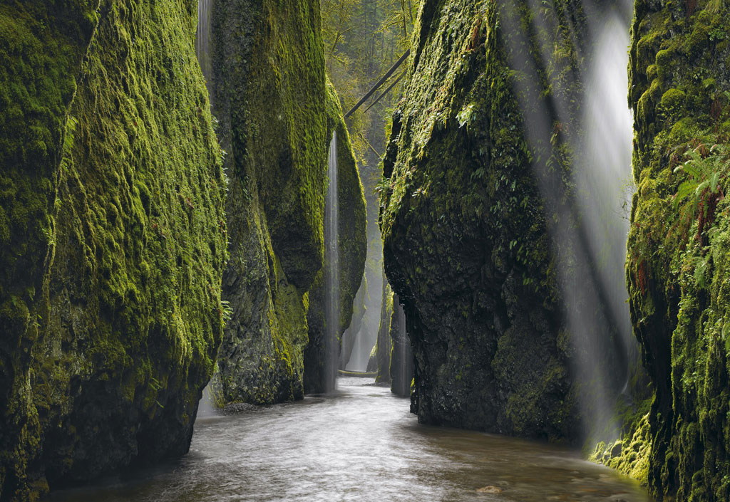 12     National Geographic Traveler (12 )