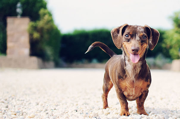 � ������� � ���, ����� �� �������� ��������� (22 ����)