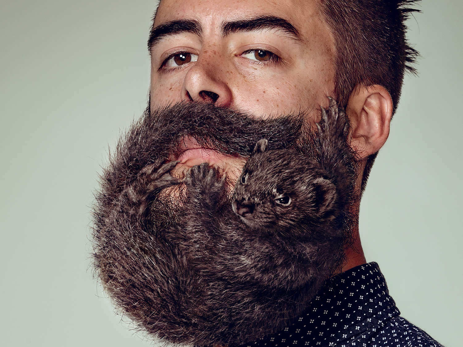 ������ � ������? ���������� ������� Schick (8 ����)