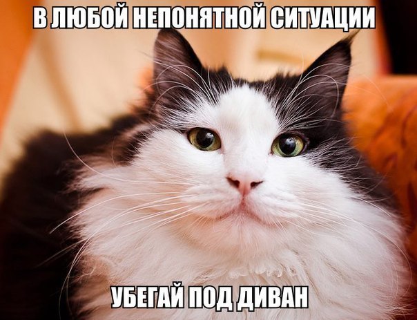 �������� ������� �������� �� ���������� ����� ������� (20 ����)