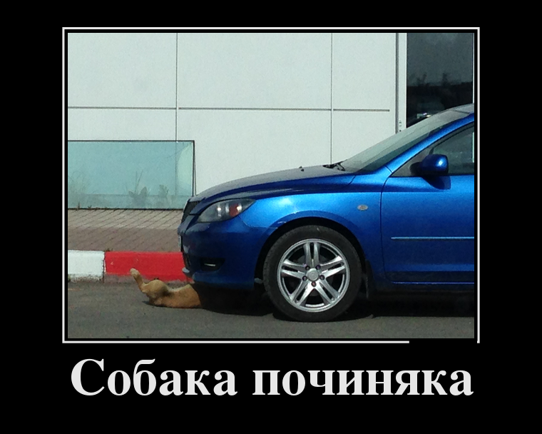 �������� ������������� ������� (25 ����)