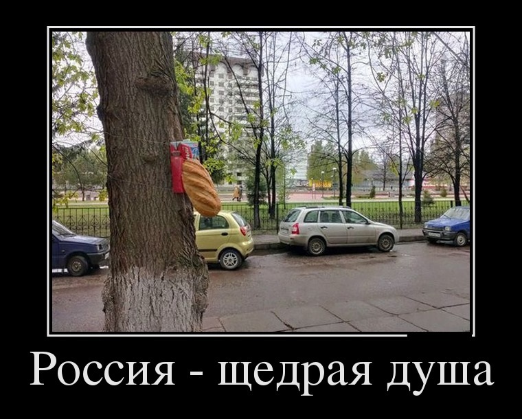 �������� ������������� ������� (25 ����)