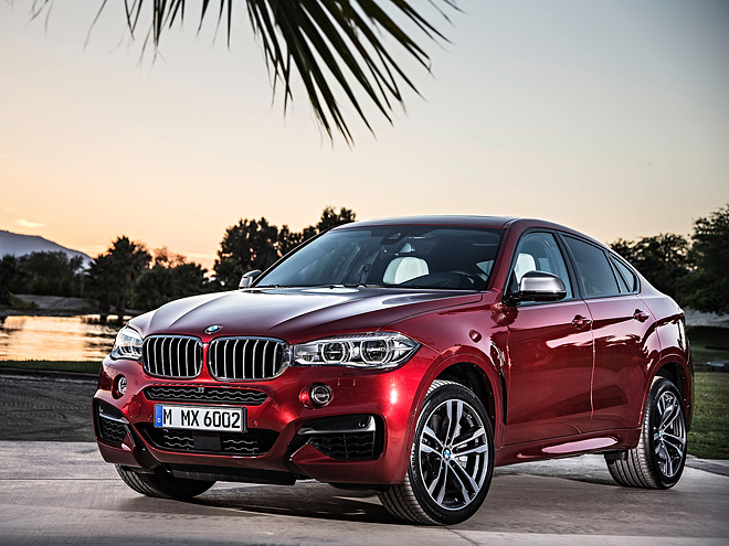   BMW X6 2015 (13 )