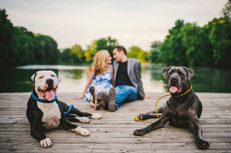 ���������� ������: ������ ���������� �������� Best Engagement Photos 2014 (15 ����) 