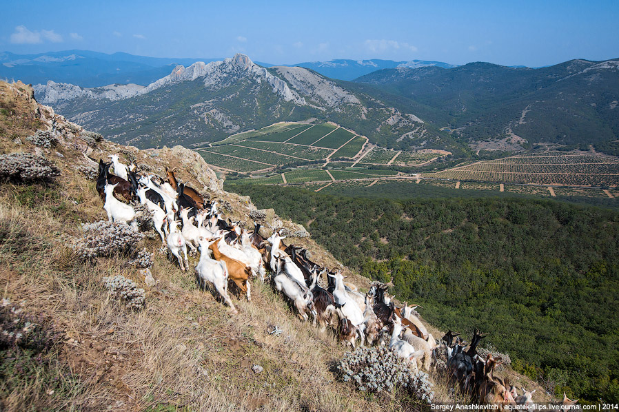 Хребты Юго-восточного Крыма (21 фото)