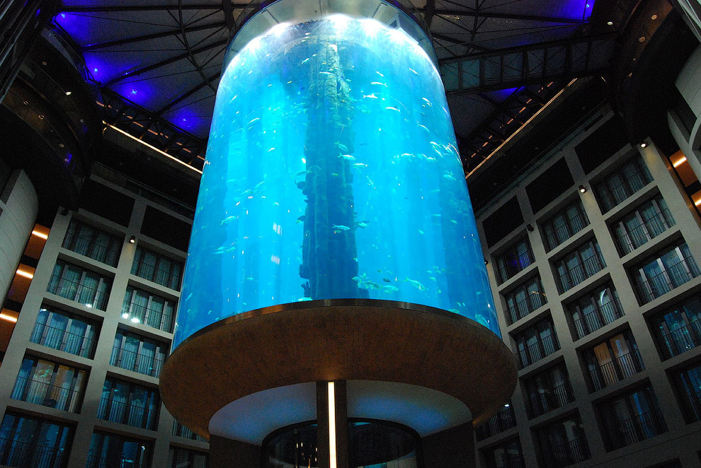 Aquadom      Radisson Blu (14 )